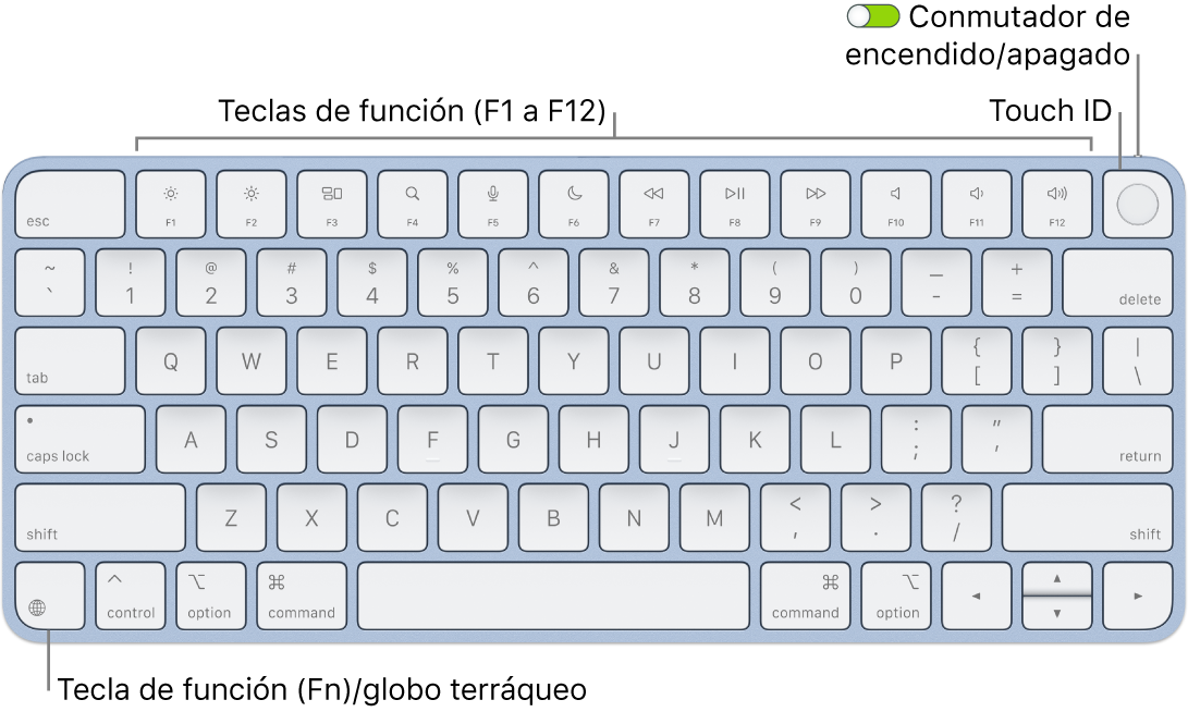 Magic Keyboard con Touch ID, con la fila de teclas de función y Touch ID en la parte superior, y la tecla del globo terráqueo o función (Fn) en la esquina inferior izquierda.