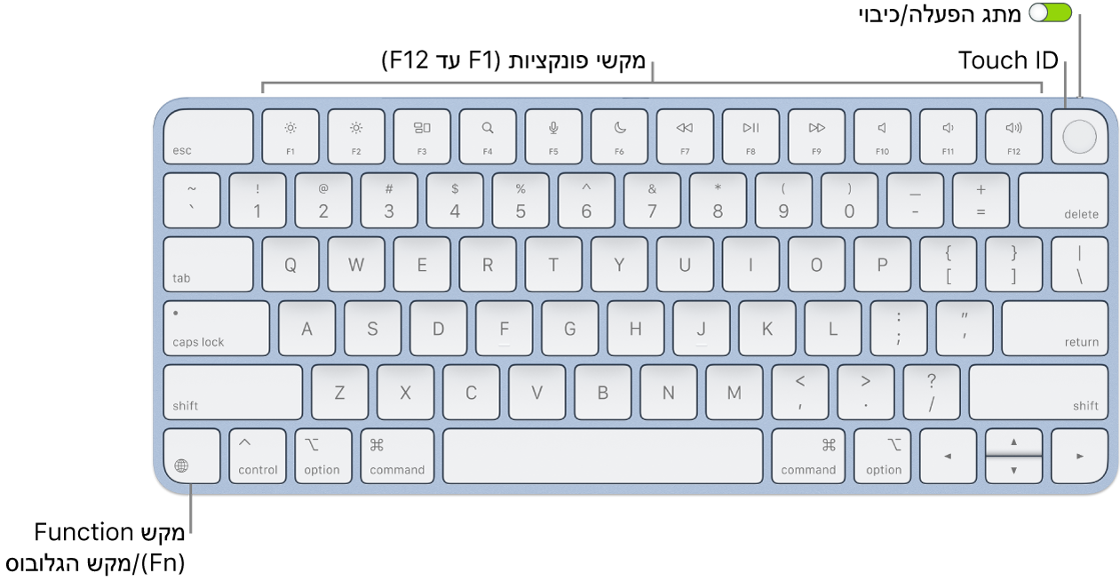 ה-Magic Keyboard עם ה-Touch ID מציגה את שורת מקשי הפונקציה וה-Touch ID לאורך החלק העליון, ואת מקש הפונקציה (Fn)/גלובוס משמאל למטה.