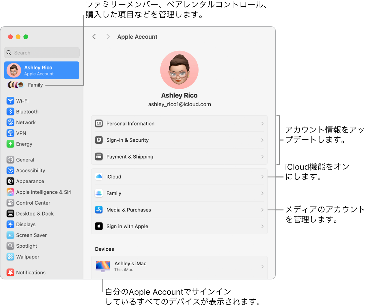 「システム設定」の「Apple Account」設定。アカウント情報のアップデート、iCloud機能のオン/オフ、メディアアカウントの管理と、ファミリーメンバー、ペアレンタルコントロール、購入などを管理できる「ファミリー」へのコールアウトがあります。