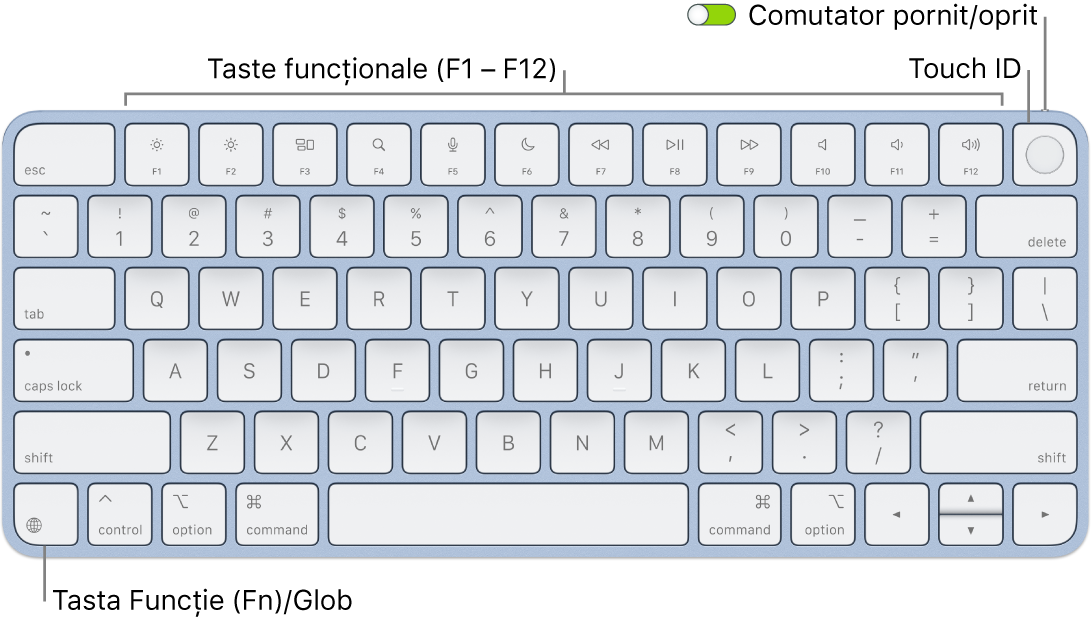 Tastatura Magic Keyboard cu Touch ID afișând rândul de taste funcționale și senzorul Touch ID în partea de sus, precum și tasta Funcție (Fn)/Glob în colțul stânga jos.