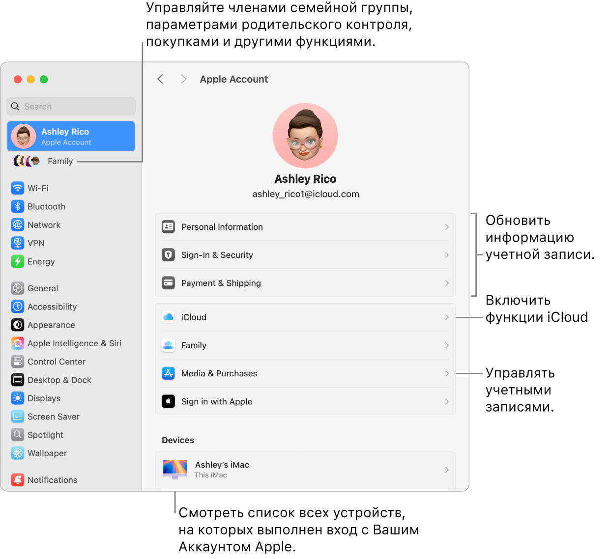 Настройки Аккаунта Apple в Системных настройках. Сносками показаны параметры обновления сведений учетной записи, включения или выключения функций iCloud и управления настройками учетных записей для мультимедиа. В настройках Семейного доступа показаны параметры управления устройствами членов семьи, родительским контролем, покупками и многим другим.