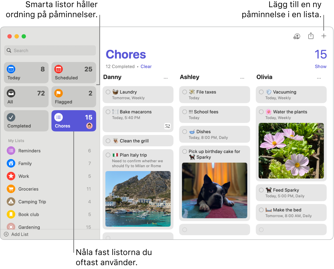 Ett Påminnelser-fönster som visar smarta listor till vänster och andra påminnelser och listor nedanför. Pekaren finns i en påminnelse. Det finns streck som pekar mot de smarta listorna och knappen Lägg till en ny påminnelse.