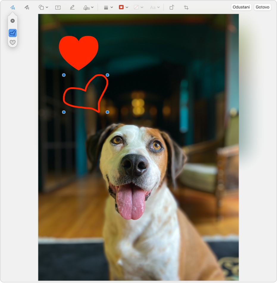 Slika sa srcem koje je na nju nacrtano pomoću alata za obilježavanje.