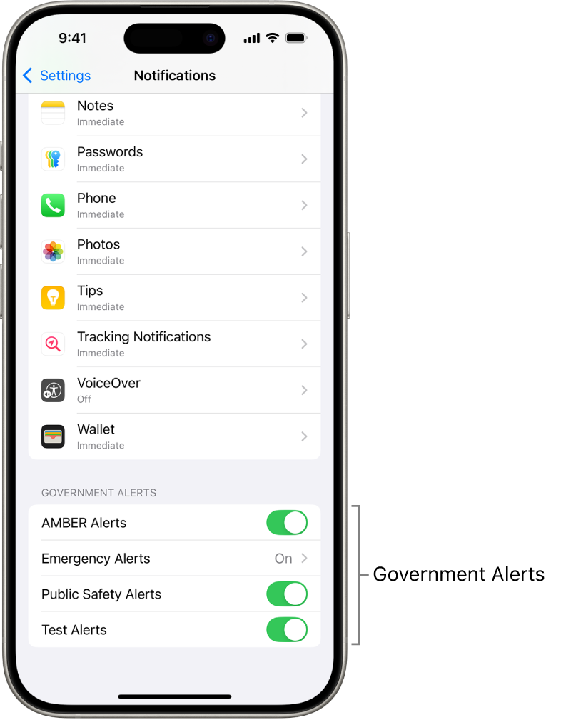 The Notifications screen, showing the Government Alerts you can turn on to receive government alerts.