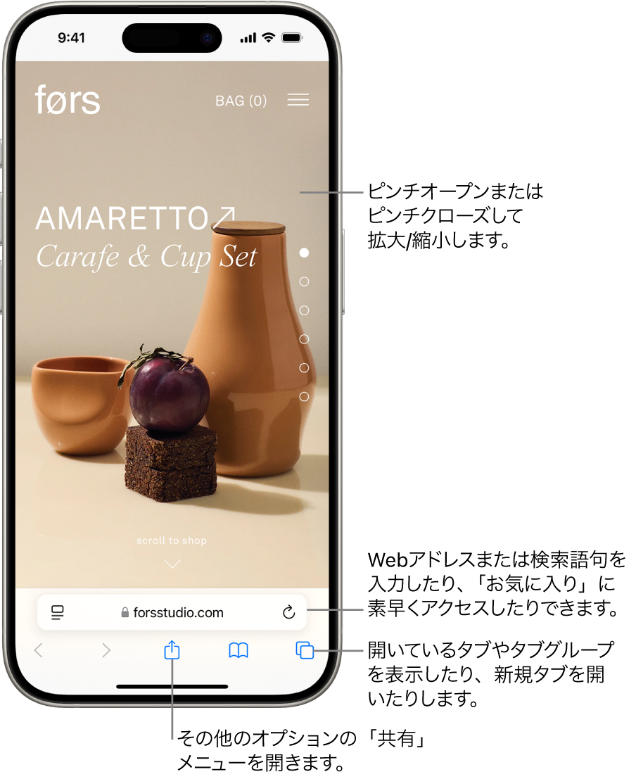 Safariで開いたWebサイト。下部にアドレスフィールドが表示されています。下部には左から順に、「戻る」、「進む」、「共有」、「ブックマーク」、および「タブ」の各ボタンがあります。