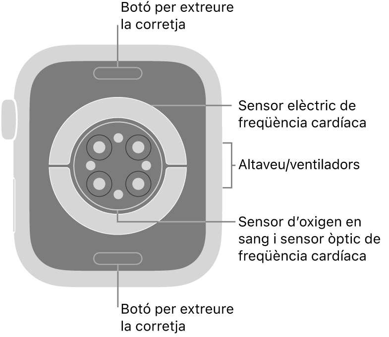 La part de darrere de l’Apple Watch Series 6 mostra els botons per obrir la corretja a dalt i a baix; els sensors elèctrics cardíacs, els sensors òptics cardíacs i els sensors d’oxigen en sang al mig, i l’altaveu i les sortides de ventilació a la part lateral del rellotge.