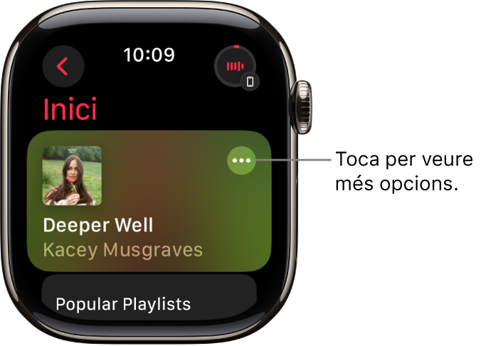 L’app Música amb la pantalla d’inici i un àlbum. A la dreta hi ha el botó “Més opcions”. A la part superior dreta hi ha el botó “Ara Sona”. A la part superior esquerra hi ha el botó “Enrere”.