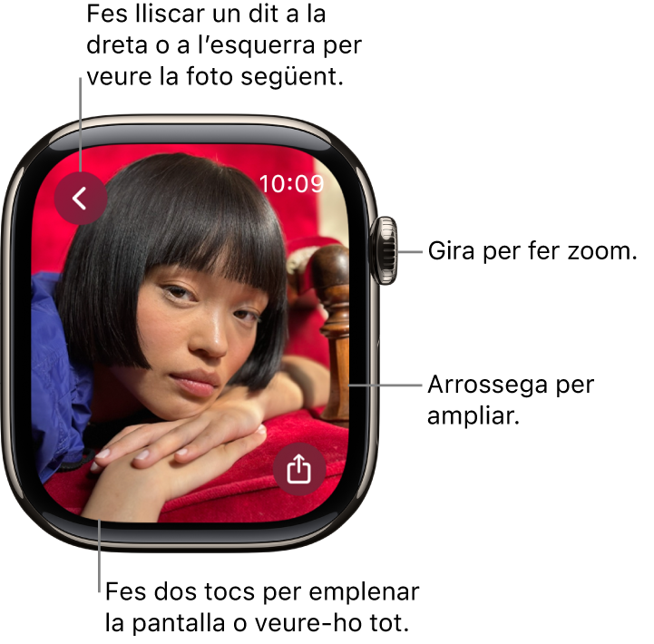 Mentre veus una foto, gira la Digital Crown per fer zoom, arrossega el dit per desplaçar-te o fes dos tocs per canviar entre veure tota la foto i veure-la a pantalla completa. Fes lliscar un dit a la dreta o a l’esquerra per veure la foto següent. A la part inferior dreta hi ha el botó “Comparteix”.