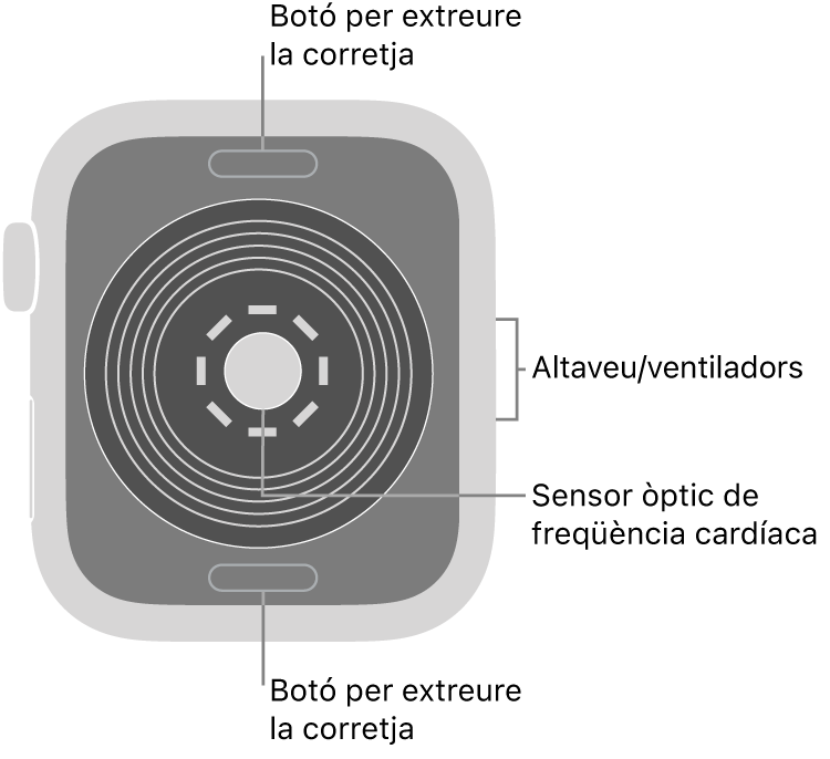 La part de darrere de l’Apple Watch SE mostra els botons per obrir la corretja a dalt i a baix; els sensors òptics cardíacs al mig, i l’altaveu i les sortides de ventilació a la part lateral del rellotge.