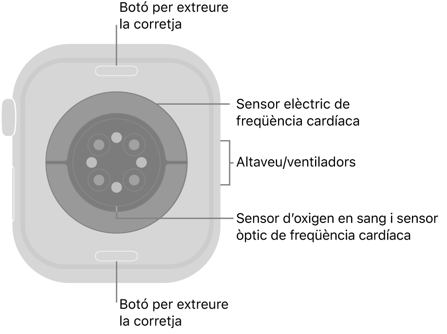 La part de darrere de l’Apple Watch Series 10 mostra els botons per obrir la corretja a dalt i a baix; els sensors elèctrics cardíacs, els sensors òptics cardíacs i els sensors d’oxigen en sang al mig, i l’altaveu i les sortides de ventilació a la part lateral del rellotge.
