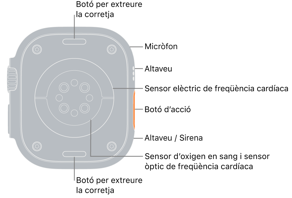 La part posterior de l’Apple Watch Ultra amb els botons per obrir la corretja a dalt i a baix. Al lateral, s’indiquen un micròfon, un altaveu, el sensor elèctric de freqüència cardíaca, el botó d’acció, un port d’altaveu des del qual emet sons la sirena, els sensors d’oxigen en sang i els sensors òptics cardíacs.