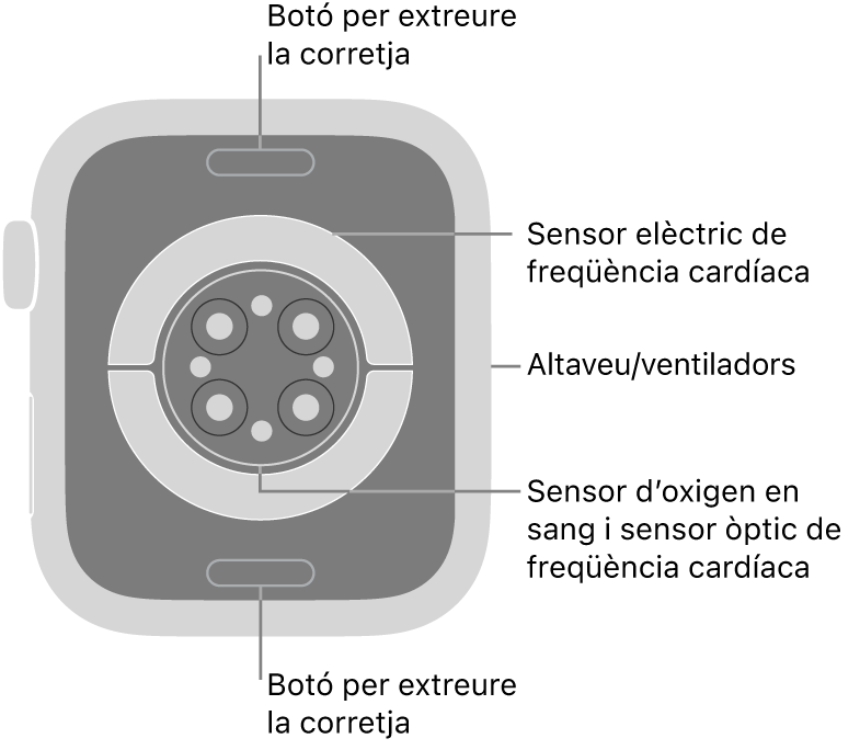 La part de darrere de l’Apple Watch Series 9 mostra els botons per obrir la corretja a dalt i a baix; els sensors elèctrics cardíacs, els sensors òptics cardíacs i els sensors d’oxigen en sang al mig, i l’altaveu i les sortides de ventilació a la part lateral del rellotge.