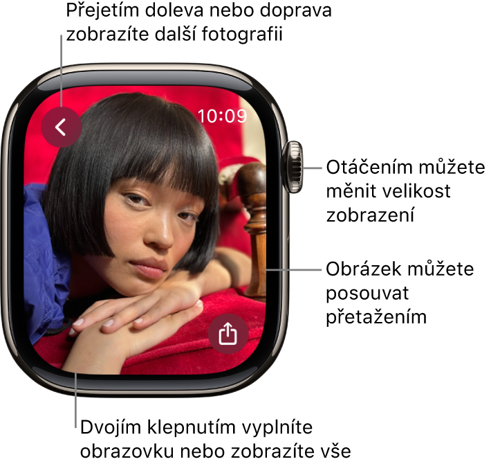 Při prohlížení fotky můžete měnit zvětšení otáčením korunkou Digital Crown, posouvat fotku tažením, nebo poklepáním přepínat mezi zobrazením celé fotky a vyplněním displeje. Přejetím doleva nebo doprava zobrazíte další fotku. Vpravo dole je umístěné tlačítko Sdílet.