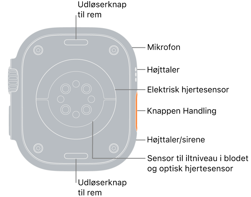 Bagsiden af Apple Watch Ultra med udløserknapperne til remmen foroven og forneden. I den ende side vises billedtekst til en mikrofon, en højttaler, den elektriske hjertesensor, knappen Handling, en højttalerport, som sirenen udsender lyd fra, sensorerne til iltniveau i blodet og de optiske pulsmålere.