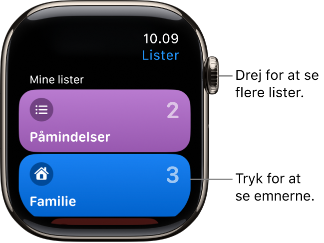 Listeskærmen i appen Påmindelser, som viser to listeknapper – Familie og Hjem. Tal til højre fortæller dig, hvor mange påmindelser der er på hver liste. Tryk på en liste for at se emnerne på den, eller drej Digital Crown for at se flere lister.