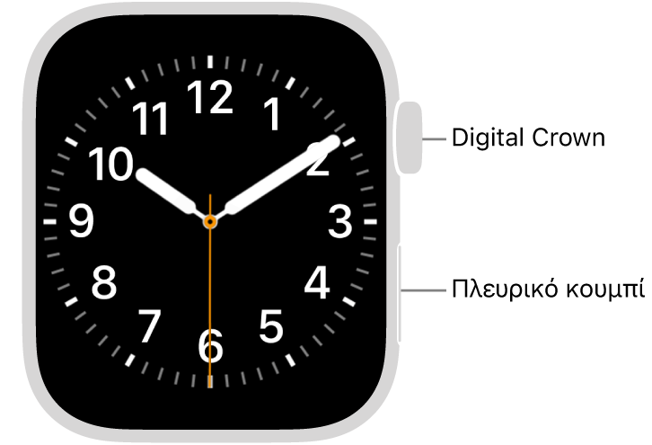 Η πρόσοψη του Apple Watch, με το Digital Crown στο πάνω μέρος στη δεξιά πλευρά του ρολογιού, και το πλευρικό κουμπί κάτω δεξιά.