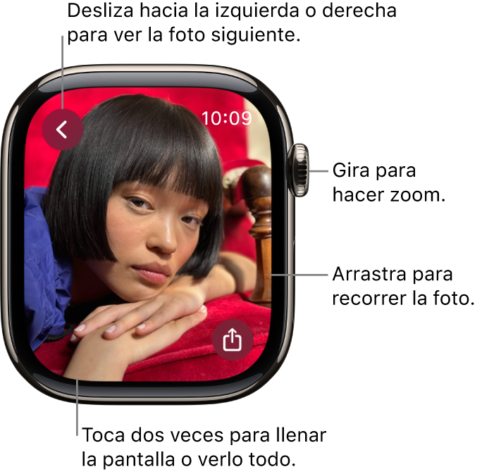 Mientras ves una foto, gira la corona Digital Crown para hacer zoom, arrastra para desplazarte, o toca dos veces para cambiar entre ver toda la foto o ver en pantalla completa. Desliza hacia la izquierda o derecha para ver la foto siguiente. Hay un botón Compartir en la esquina inferior derecha.