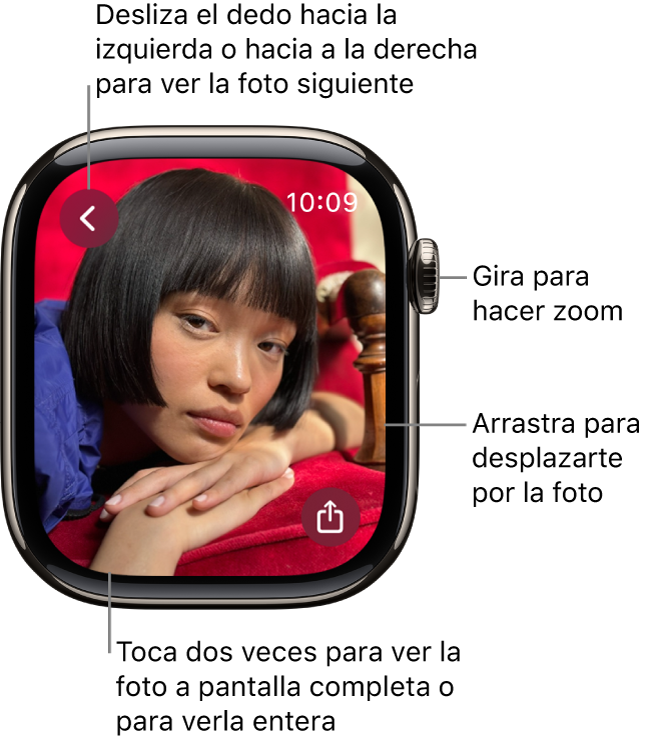 Cuando estés viendo una foto, gira la corona Digital Crown para hacer zoom, arrastra el dedo para desplazarte por la foto o toca dos veces para cambiar entre ver toda la foto y verla a pantalla completa. Desliza el dedo hacia la izquierda o hacia la derecha para ver la foto siguiente. Abajo a la derecha se muestra un botón de compartir.