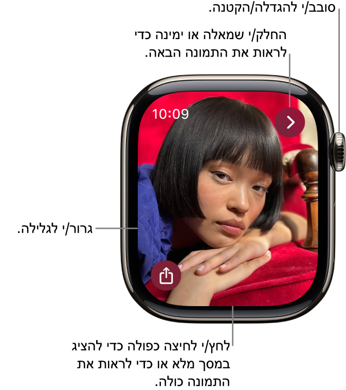 בעת צפייה בתמונה, סובב/י את ה‑Digital Crown כדי להגדיל/להקטין, גרור/י כדי לגלול או הקש/י פעמיים כדי לעבור בין צפייה בתמונה כולה לבין מילוי המסך. החלק/י שמאלה או ימינה כדי לראות את התמונה הבאה. מימין למטה נמצא כפתור השיתוף.