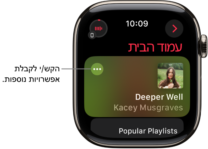 היישום ״מוזיקה״ מציג את מסך הבית שבו מוצג אלבום אחד. כפתור ״אפשרויות נוספות״ מופיע משמאל. הכפתור ״מתנגן כעת״ ממוקם למעלה משמאל. משמאל למעלה נמצא הכפתור ״אחורה״.