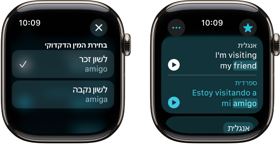 שני מסכים של היישום ״תרגום״, שהראשון מראה משפט באנגלית בחלק העליון והתרגום שלו לספרדית בחלק התחתון. במסך השני מופיעה מילה מודגשת עם חלופות שונות של מין דקדוקי.