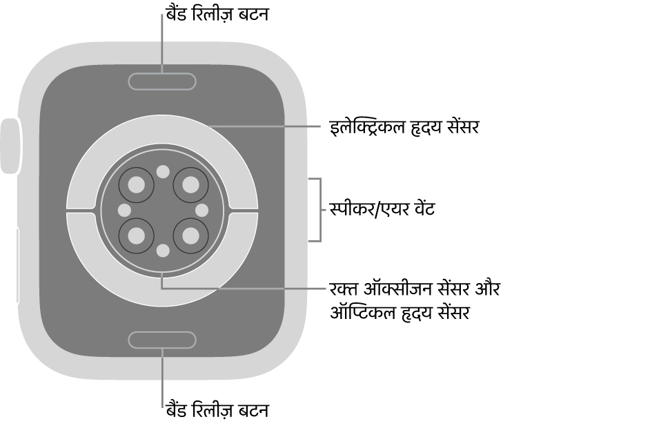 Apple Watch Series 6 का पीछे का हिस्सा, जिसमें शीर्ष पर और नीचे की ओर बैंड रिलीज़ करें बटन, बीच में इलेक्ट्रिकल हृदय सेंसर, ऑप्टिकल हृदय सेंसर और रक्त ऑक्सीजन सेंसर और साइड में स्पीकर/ एयर वेंट हैं।