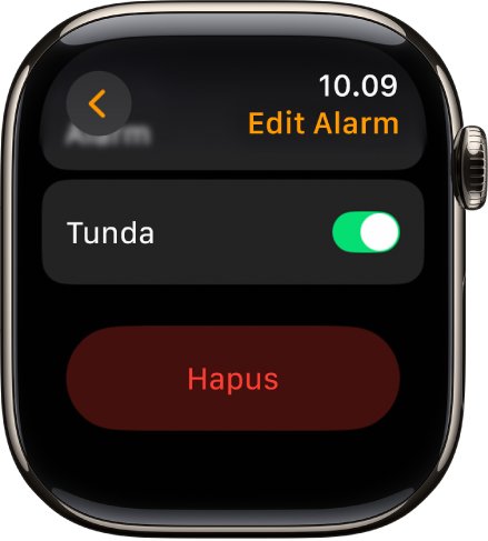 Layar Edit Alarm, dengan tombol Hapus di bagian bawah.