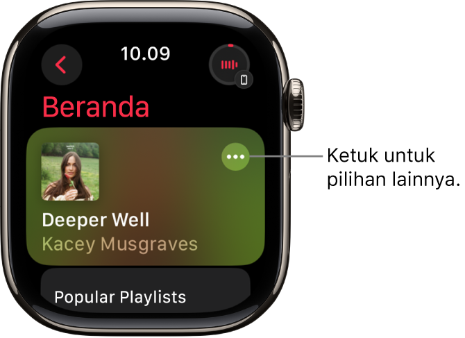 App Musik yang menampilkan layar Beranda dengan satu album yang ditampilkan. Tombol Pilihan Lainnya di sebelah kanan. Di kanan atas terdapat tombol Sedang Diputar. Tombol Kembali berada di kiri atas.
