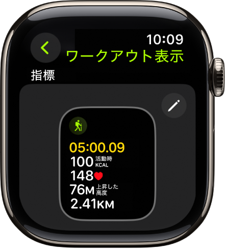 「ワークアウト表示」画面。「ハイキング」ワークアウトの「指標」ワークアウト表示が表示されています。