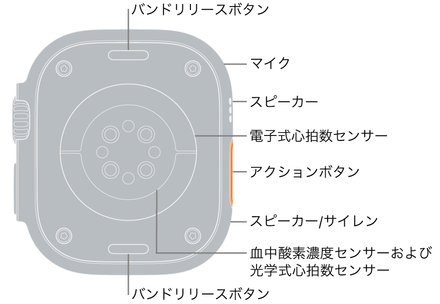 Apple Watch Ultraの背面。上下にバンドリリースボタンがあります。側面では、マイク、スピーカー、電気式心拍数センサー、アクションボタン、サイレンが鳴るスピーカーポート、血中酸素ウェルネスセンサー、光学式心拍数センサーが示されています。
