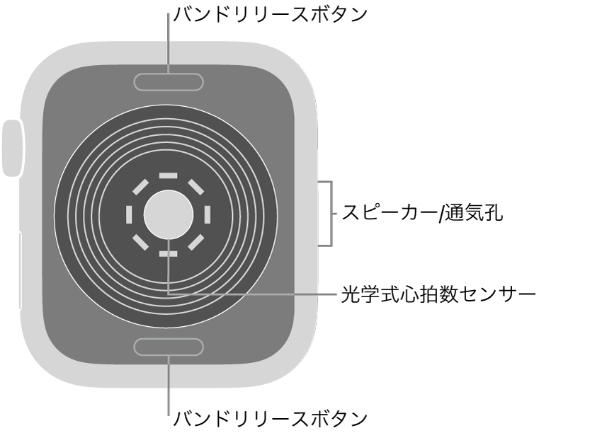 Apple Watch SEの背面で、上下にバンドリリースボタン、中央に光学式心拍数センサー、側面にはスピーカー/通気孔があります。