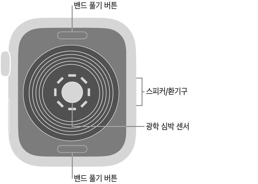 상단 및 하단에 밴드 풀기 버튼, 중앙에 광학 심장 센서, 측면에 스피커/환기구가 보이는 Apple Watch SE의 후면.
