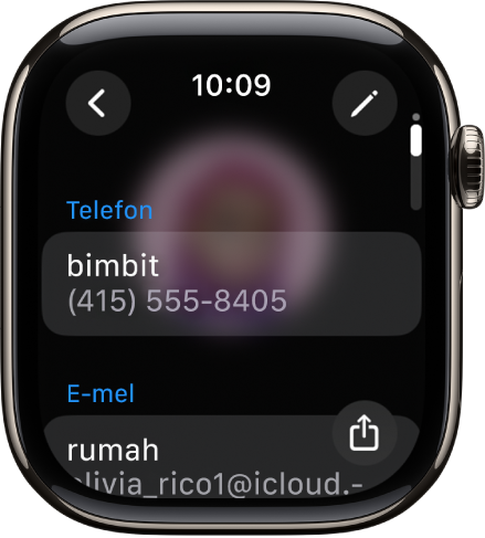 App Kenalan menunjukkan butiran kenalan. Butang Edit kelihatan di bahagian kanan atas. Tiga medan kelihatan di bahagian tengah skrin—nombor telefon, alamat e-mel dan alamat rumah. Butang Kongsi berada di bahagian kanan bawah dan butang Balik berada di bahagian kiri atas.