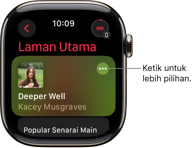 App Muzik menunjukkan skrin Utama dengan satu album ditunjukkan. Butang Pilihan Lanjut berada sebelah kanan. Di bahagian kanan atas ialah butang Kini Dimainkan. Butang Balik berada di bahagian kiri atas.