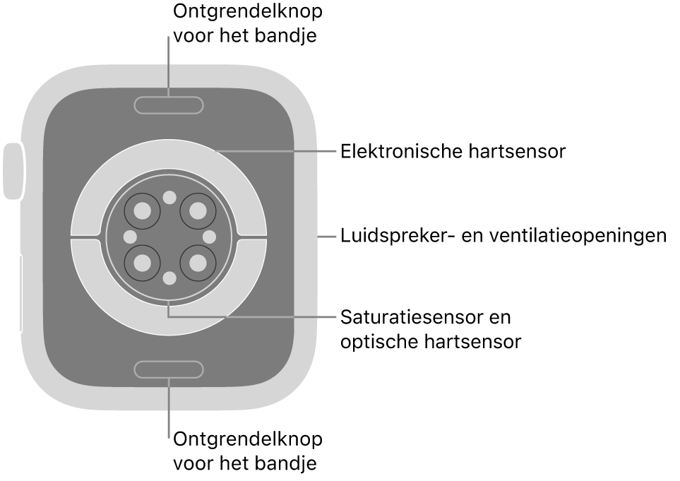 De achterkant van de Apple Watch Series 9, met aan de boven- en onderkant de ontgrendelknoppen van het bandje, in het midden de elektrische hartsensoren, de optische hartsensoren en de saturatiesensoren, en aan de zijkant de luidspreker- en ventilatieopeningen.