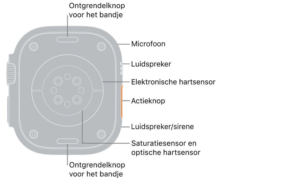 De achterkant van de Apple Watch Ultra, met aan de boven- en onderkant de ontgrendelknoppen van het bandje. Aan de zijkant staan bijschriften voor een microfoon, een luidspreker, de elektrische hartslagsensor, de actieknop, een luidsprekerpoort waaruit het geluid van de sirene komt, de saturatiesensoren en de optische hartsensoren.