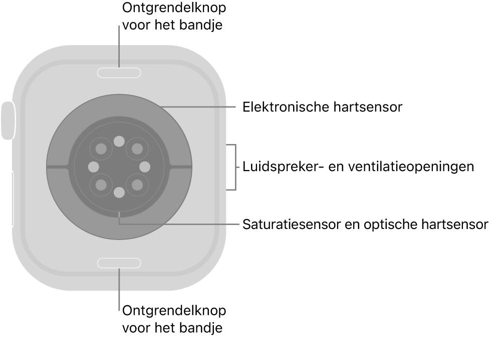 De achterkant van de Apple Watch Series 10, met aan de boven- en onderkant de ontgrendelknoppen van het bandje, in het midden de elektrische hartsensoren, de optische hartsensoren en de saturatiesensoren, en aan de zijkant de luidspreker- en ventilatieopeningen.