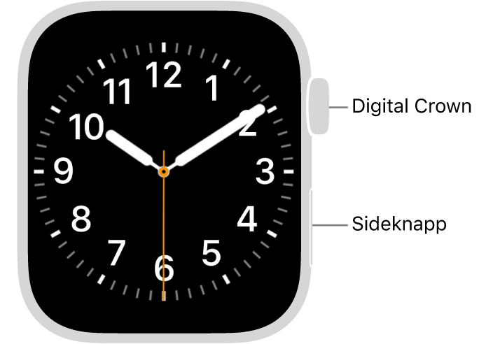 Forsiden av Apple Watch, der Digital Crown vises øverst på høyre side av klokken og sideknappen vises nederst på høyre side.