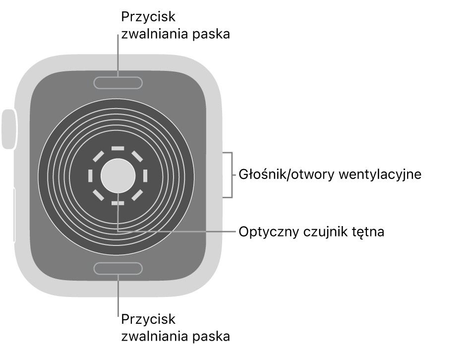 Apple Watch SE widziany z tyłu. Na górze i na dole znajdują się przyciski zwalniania paska. Na środku znajduje się optyczny czujnik tętna. Z boku znajdują się otwory głośnika i wentylacji.