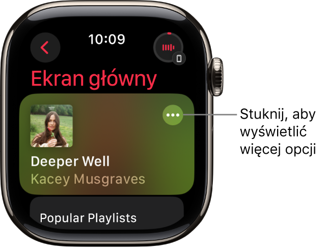 Aplikacja Muzyka z wyświetlonym ekranem głównym zawierającym jeden album. Po prawej znajduje się przycisk Więcej opcji. W prawym górnym rogu znajduje się przycisk Odtwarzane. W lewym górnym rogu widoczny jest przycisk Wróć.