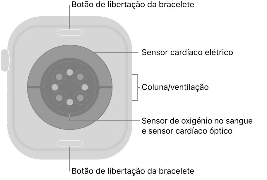 Apple Watch Series 10 visto de trás com os botões de libertação da bracelete na parte superior e na parte inferior, os sensores cardíacos elétricos, os sensores cardíacos óticos e os sensores de oxigénio no sangue ao meio e a coluna/ventilação na parte lateral.