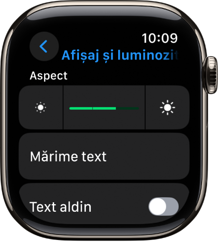 Configurările de afișaj și luminozitate de pe Apple Watch, cu glisorul Luminozitate în partea de sus și dedesubt butonul Mărime text.