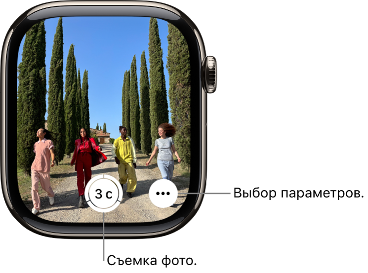 На экране Apple Watch показано изображение в видоискателе iPhone. Внизу посередине находится кнопка затвора. В правом нижнем углу находится кнопка «Другие параметры».