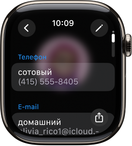 В приложении «Контакты» показана информация о контакте. В правом верхнем углу находится кнопка «Правка». Посередине экрана отображается три поля: для ввода номера телефона, адреса электронной почты и домашнего адреса. Кнопка «Поделиться» находится в правом нижнем углу, кнопка «Назад» — в левом верхнем углу.