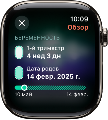 Экран приложения «Дневник цикла», на котором показана сводная информация о беременности. В центре экрана показан гестационный срок и плановая дата родов.