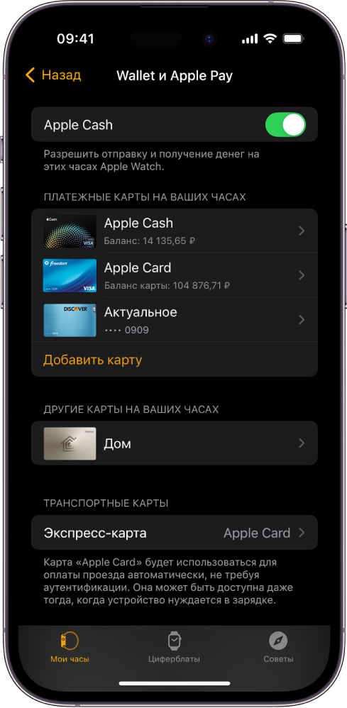 Экран iPhone, на котором открыты настройки Wallet и Apple Pay в приложении Apple Watch.