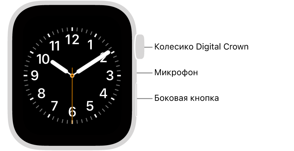 Лицевая сторона Apple Watch Series 6. На дисплее показан циферблат. Сбоку на корпусе часов показаны (сверху вниз): колесико Digital Crown, микрофон и боковая кнопка.