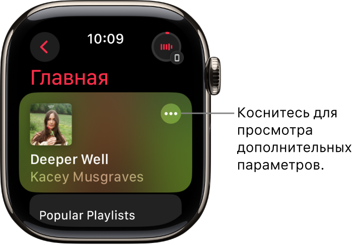В приложении «Музыка» на экране «Главная» показан один альбом. Справа отображается кнопка «Другие параметры». Справа сверху отображается кнопка «Исполняется». В левом верхнем углу находится кнопка «Назад».