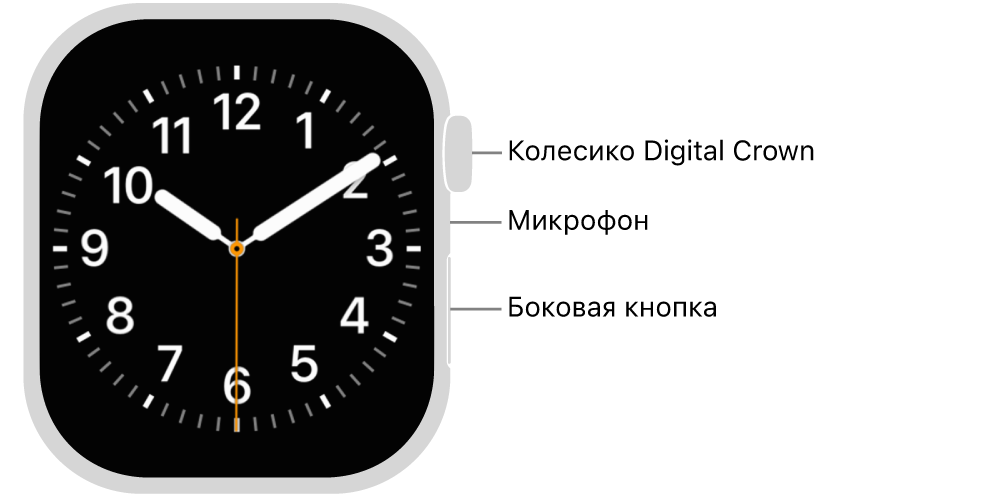 Лицевая сторона Apple Watch Series 10. На дисплее показан циферблат. Сбоку на корпусе часов показаны (сверху вниз): колесико Digital Crown, микрофон и боковая кнопка.