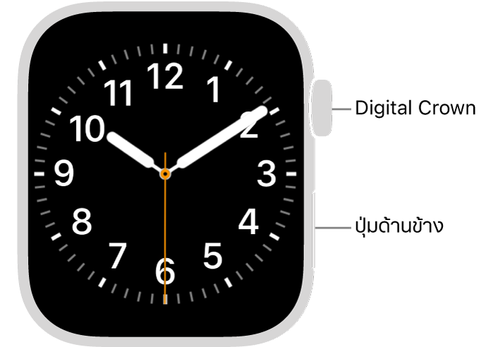 ด้านหน้าของ Apple Watch ที่มี Digital Crown แสดงอยู่ที่ด้านบนสุดทางด้านขวาของนาฬิกา และปุ่มด้านข้างแสดงอยู่ที่ด้านขวาล่างสุด